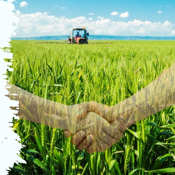 Fresh Exporters Association of India